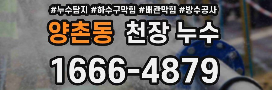 양촌동 천장 누수