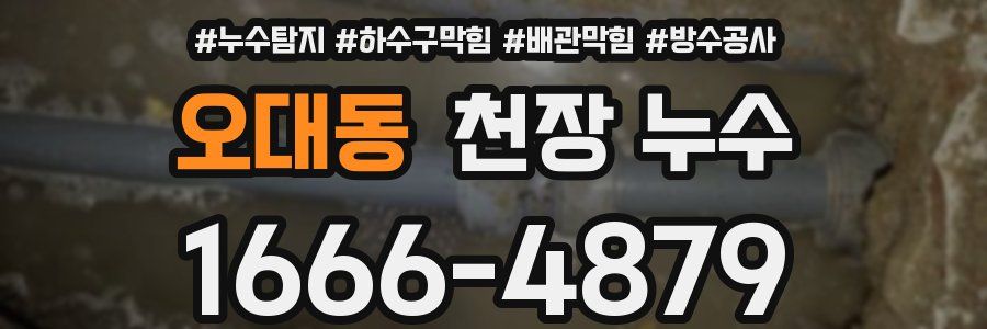 오대동 천장 누수