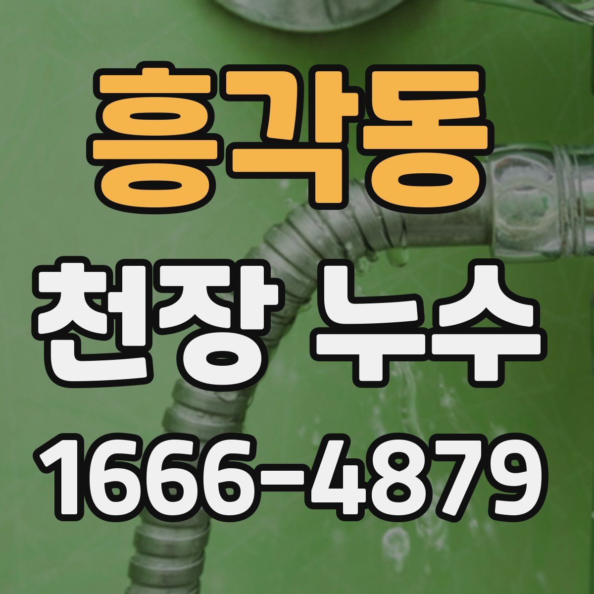 흥각동 천장 누수