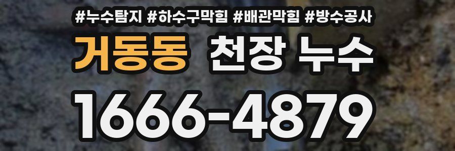 거동동 천장 누수