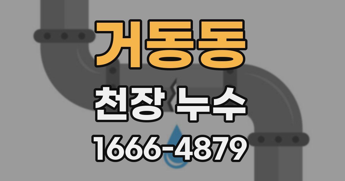거동동 천장 누수