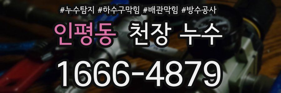 인평동 천장 누수