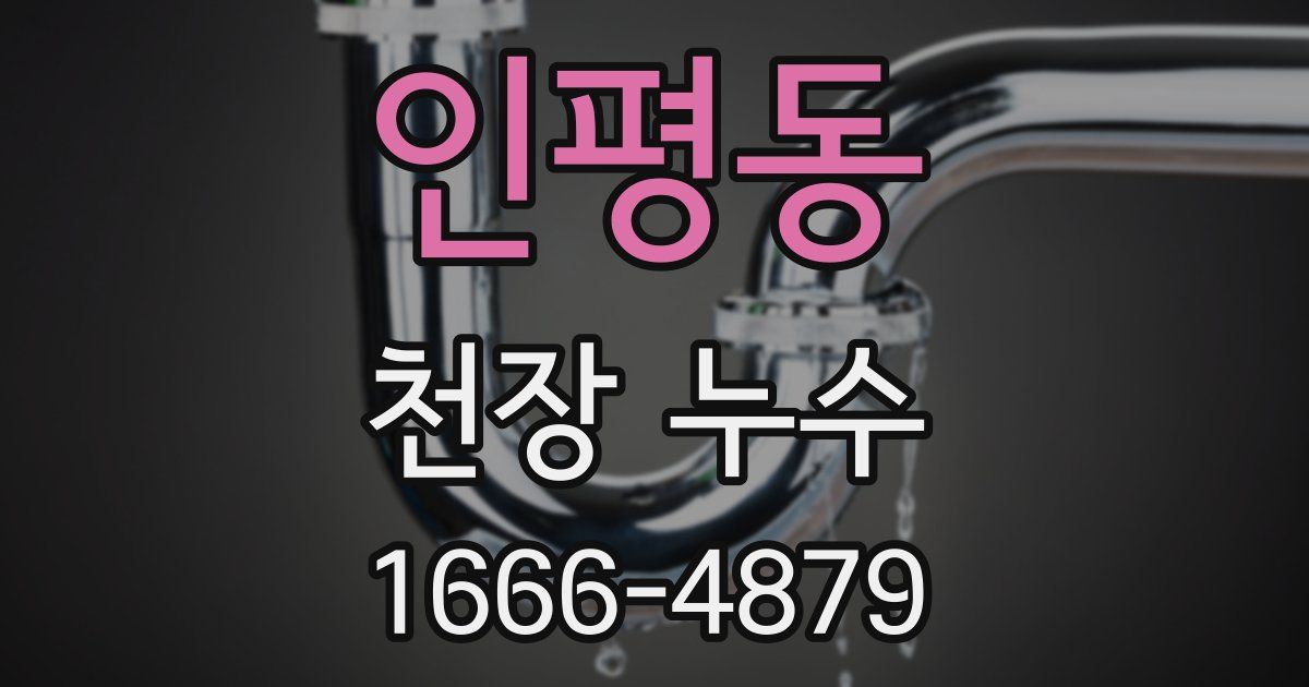인평동 천장 누수