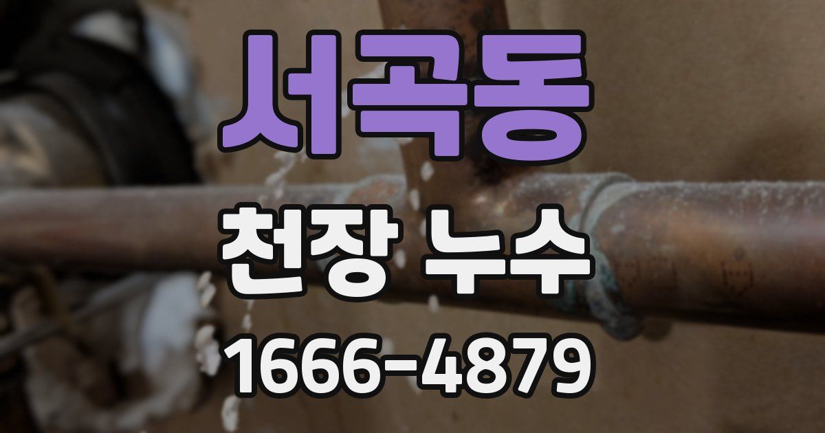 서곡동 천장 누수