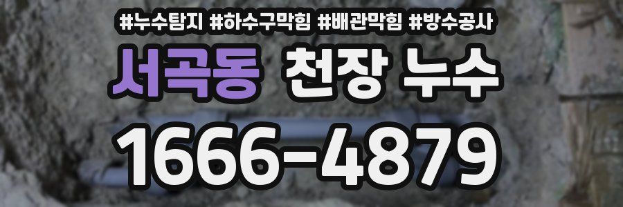 서곡동 천장 누수