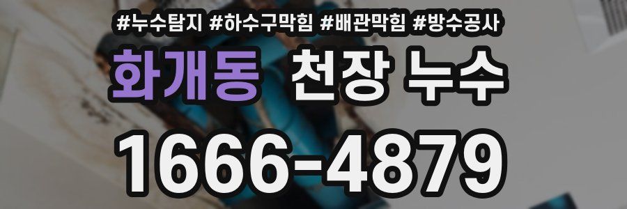 화개동 천장 누수