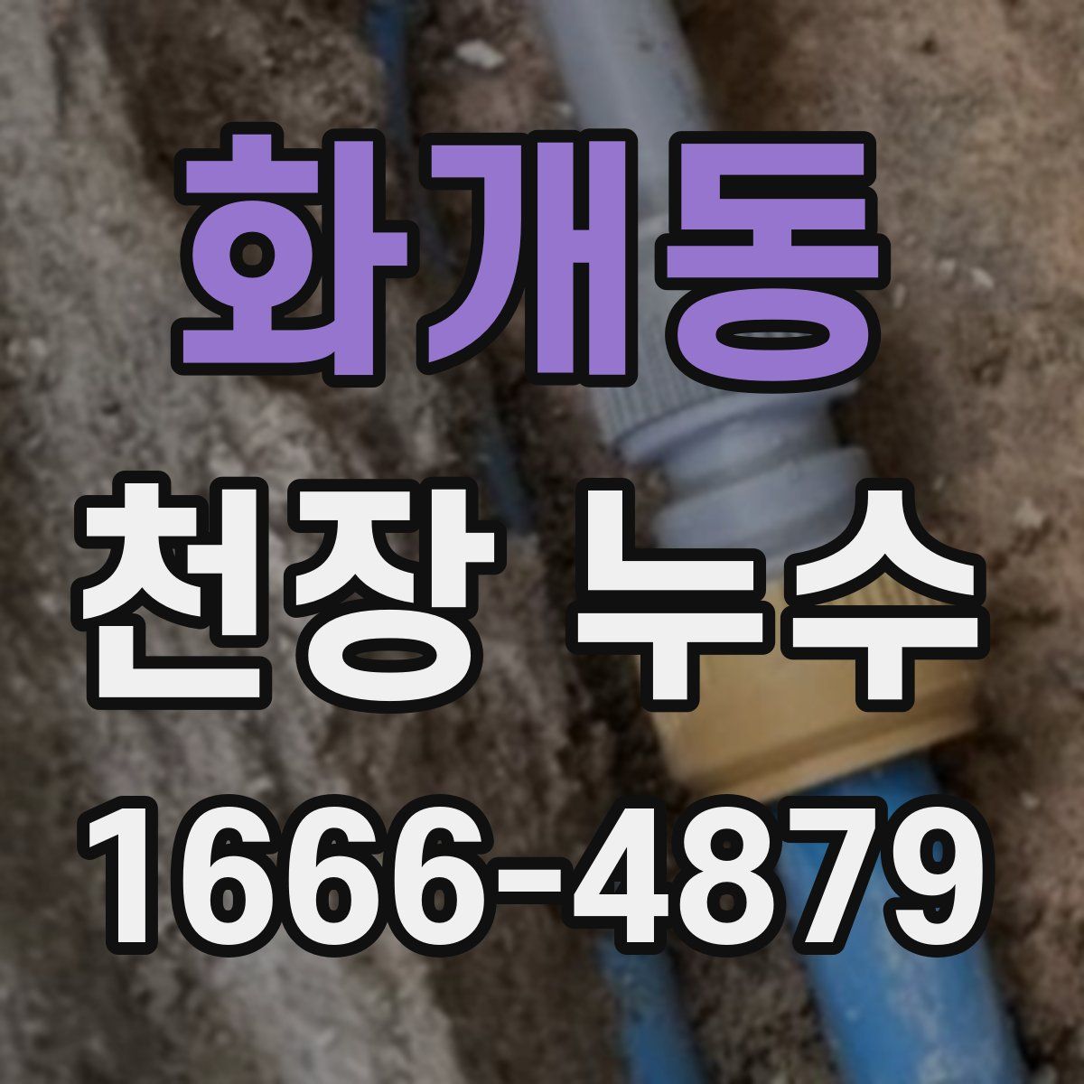 화개동 천장 누수