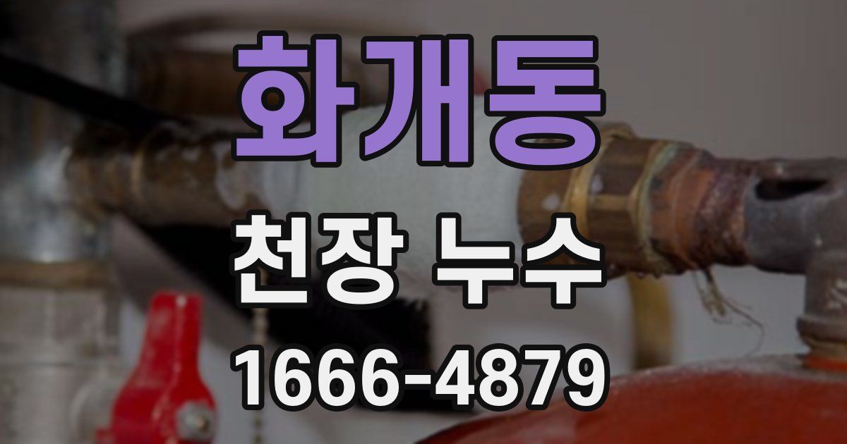 화개동 천장 누수