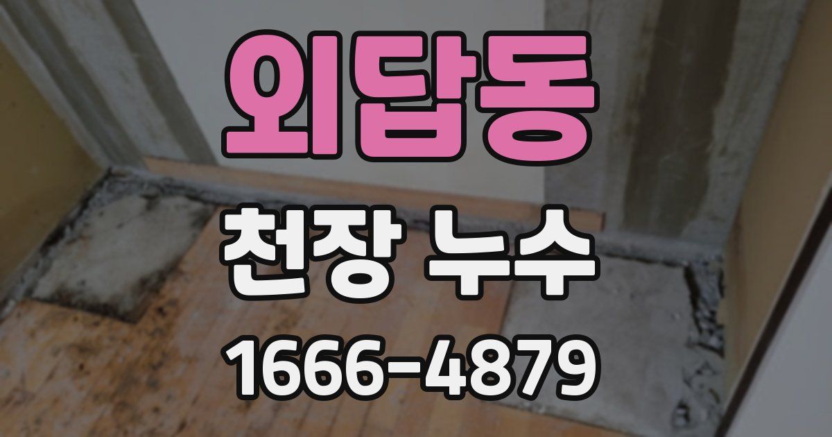 외답동 천장 누수