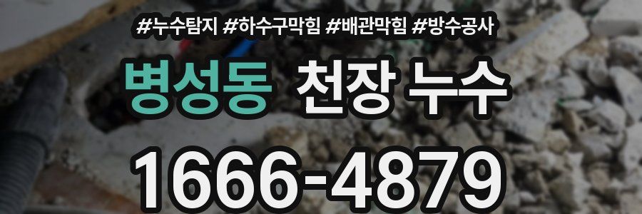 병성동 천장 누수