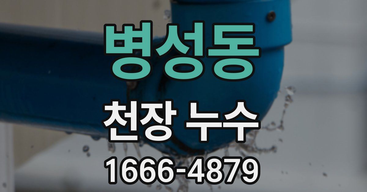 병성동 천장 누수