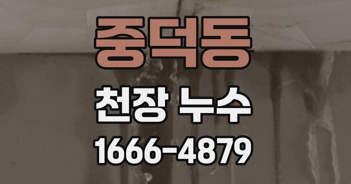 중덕동 천장 누수