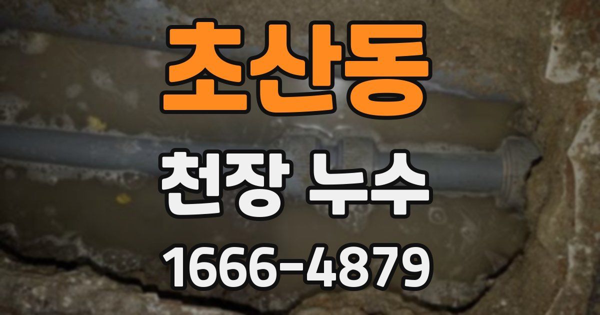 초산동 천장 누수