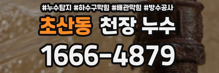 초산동 천장 누수