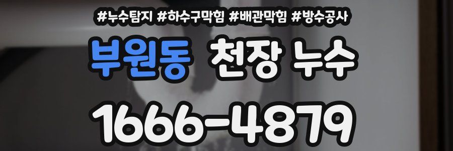 부원동 천장 누수