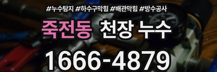 죽전동 천장 누수