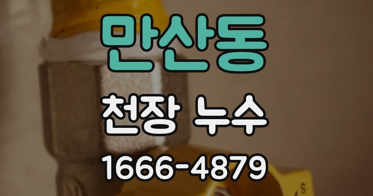 만산동 천장 누수