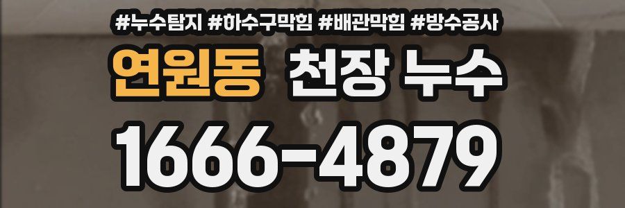 연원동 천장 누수