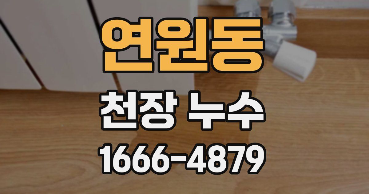 연원동 천장 누수
