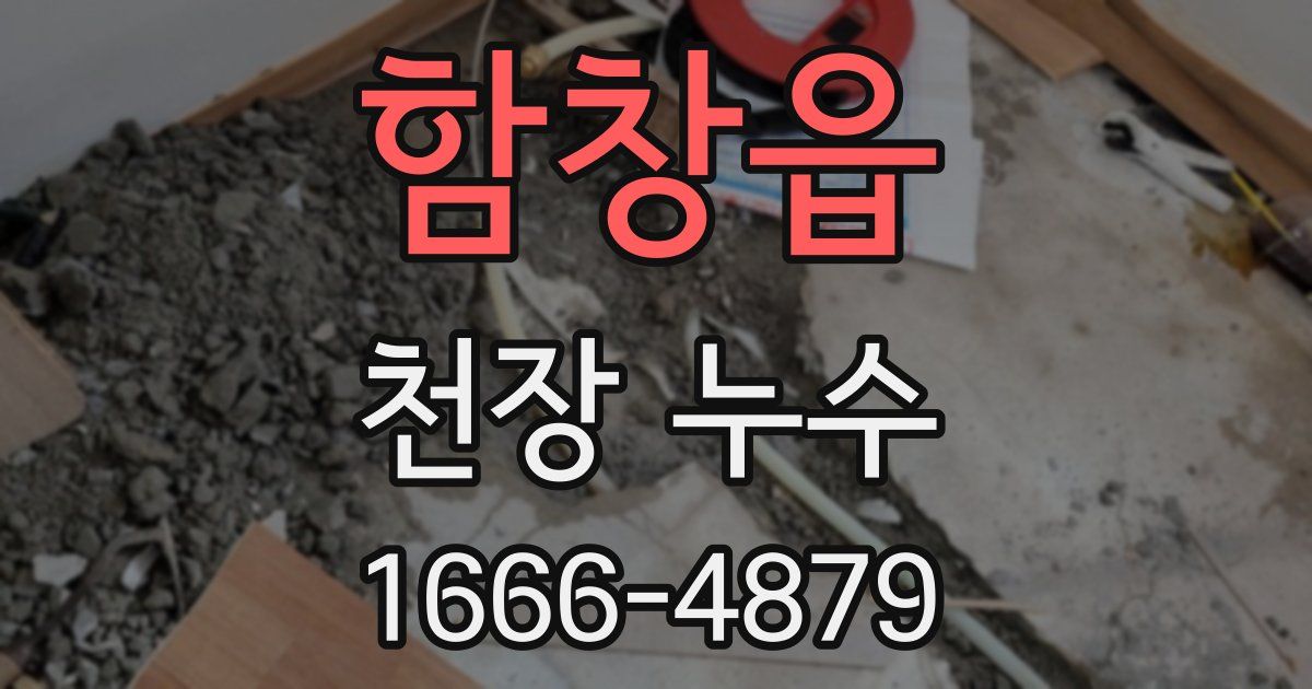 함창읍 천장 누수