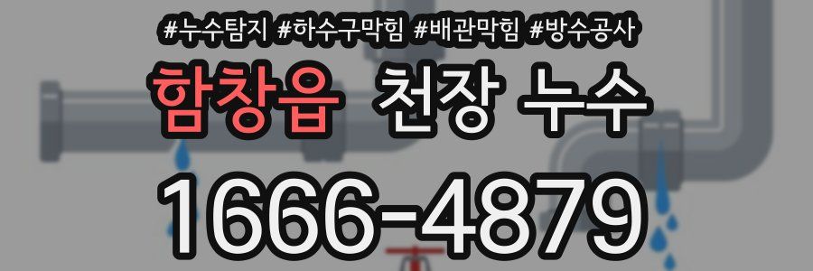 함창읍 천장 누수