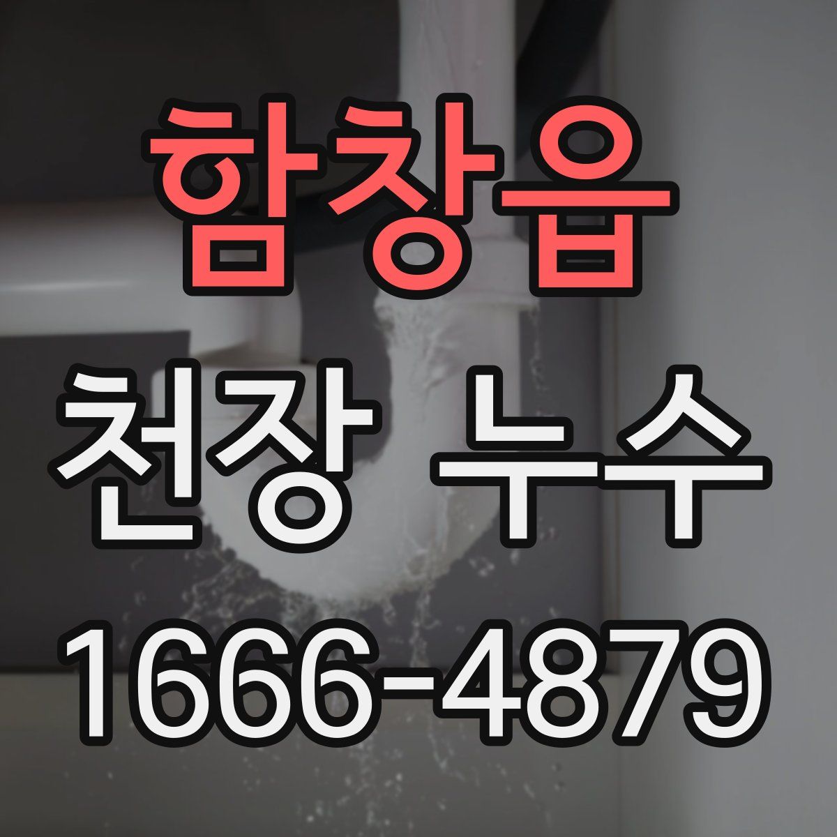 함창읍 천장 누수