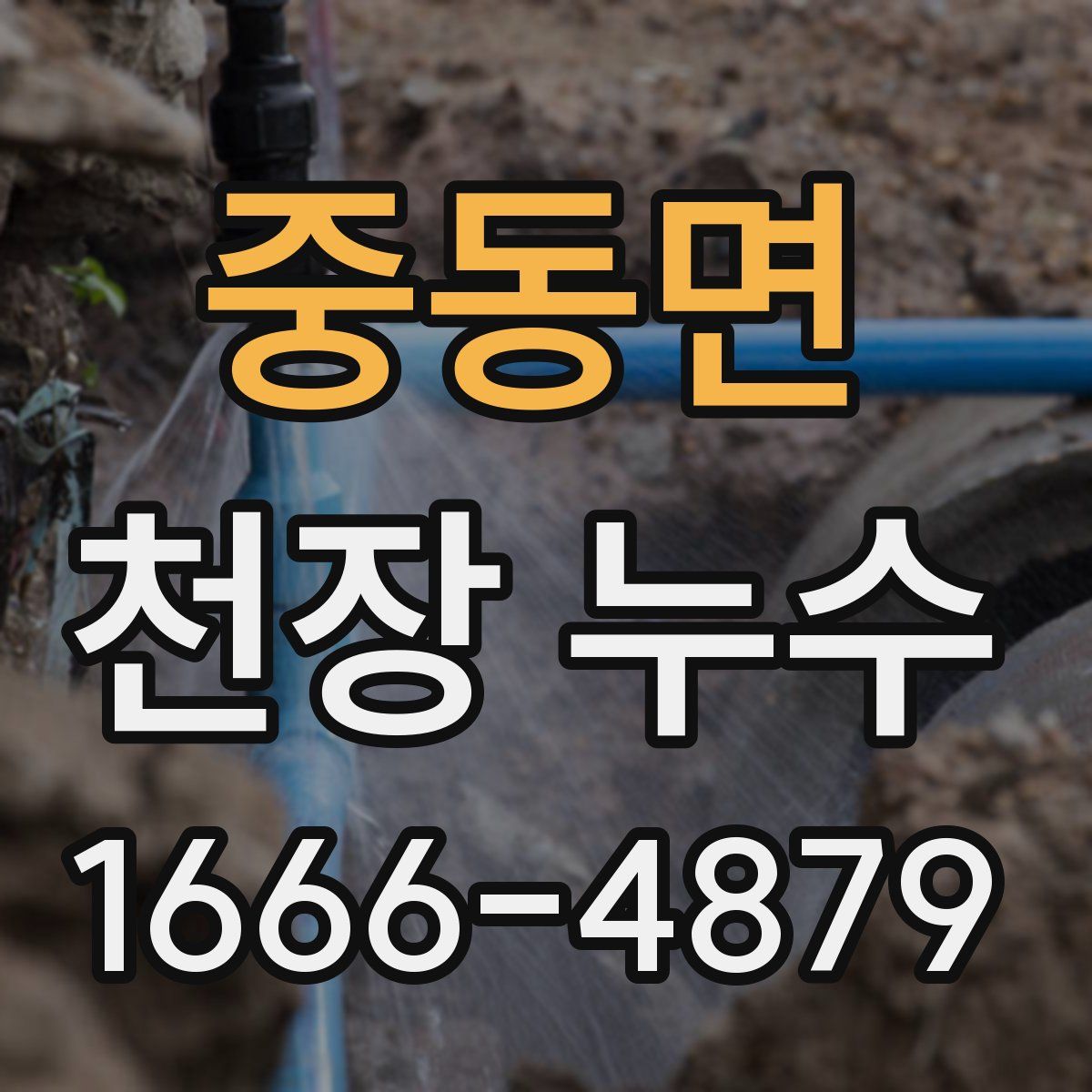 중동면 천장 누수