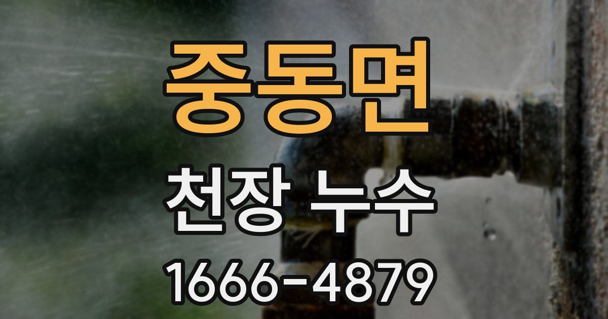 중동면 천장 누수
