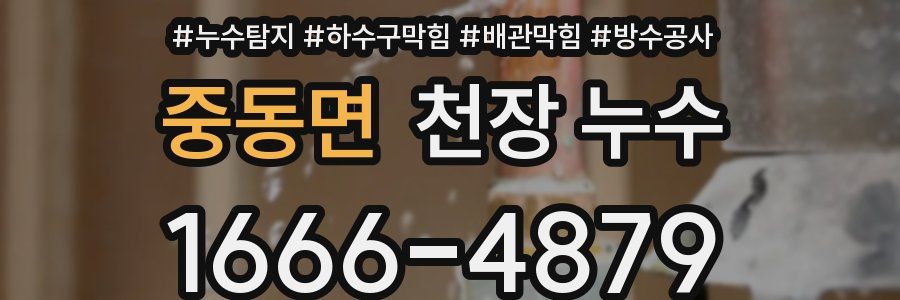 중동면 천장 누수