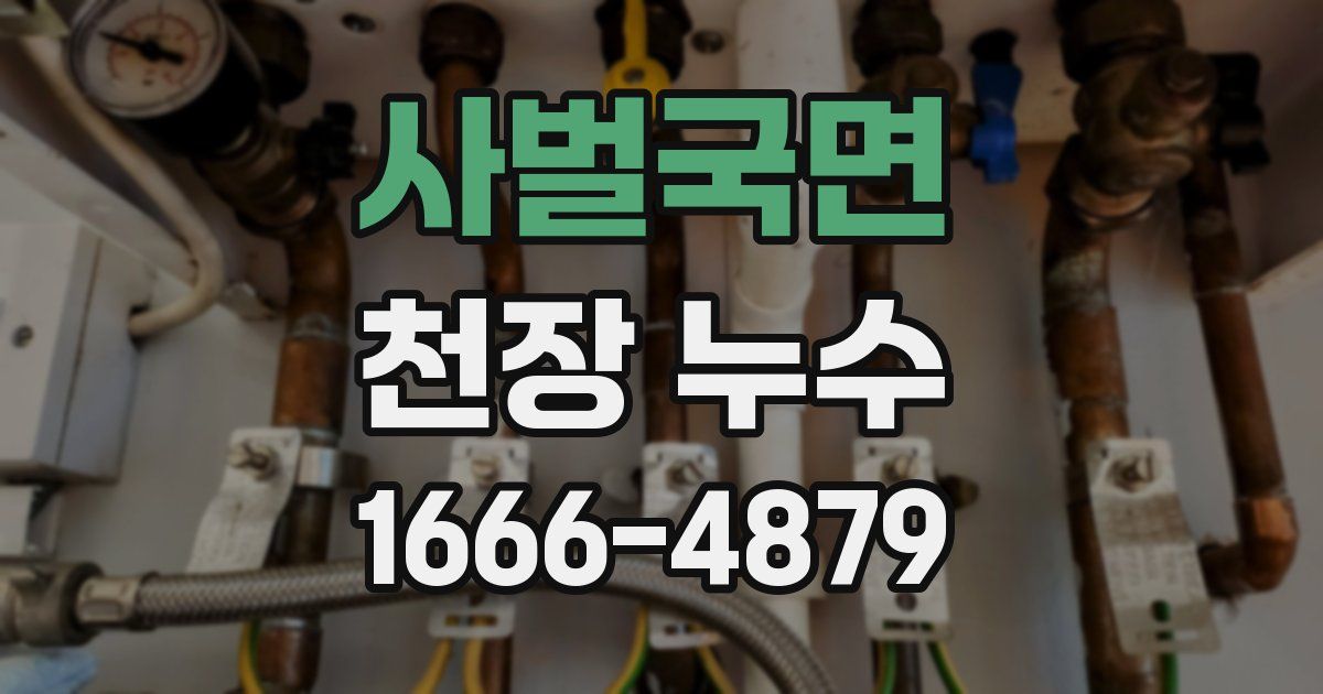 사벌국면 천장 누수