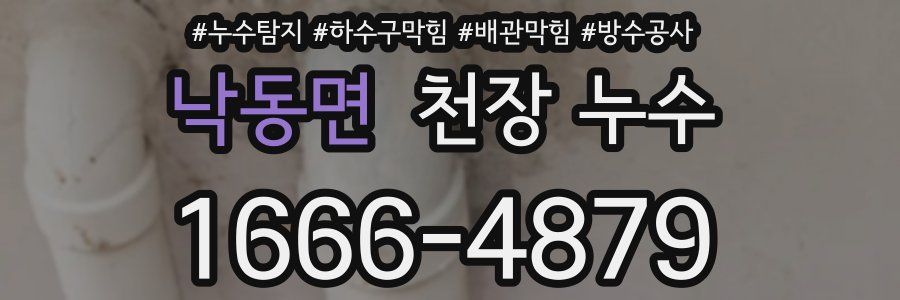낙동면 천장 누수