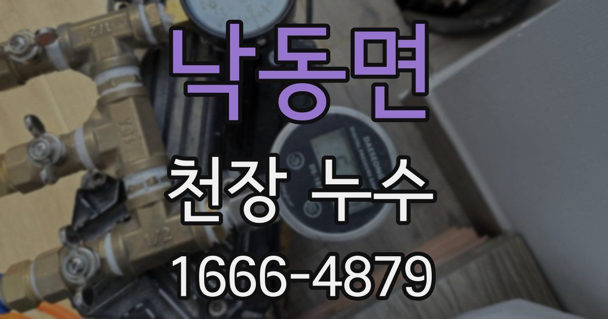 낙동면 천장 누수