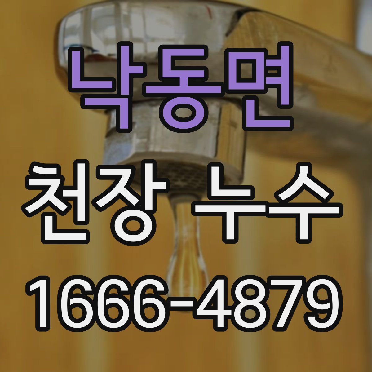 낙동면 천장 누수