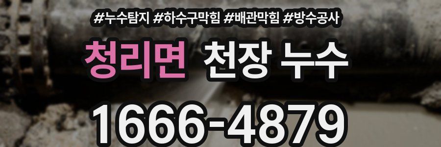 청리면 천장 누수