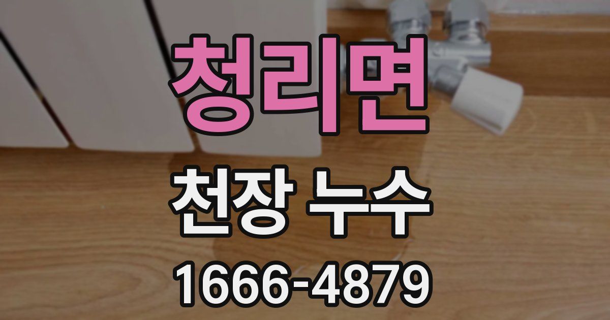 청리면 천장 누수