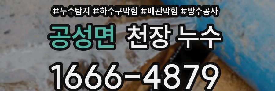 공성면 천장 누수