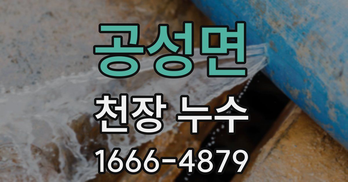 공성면 천장 누수