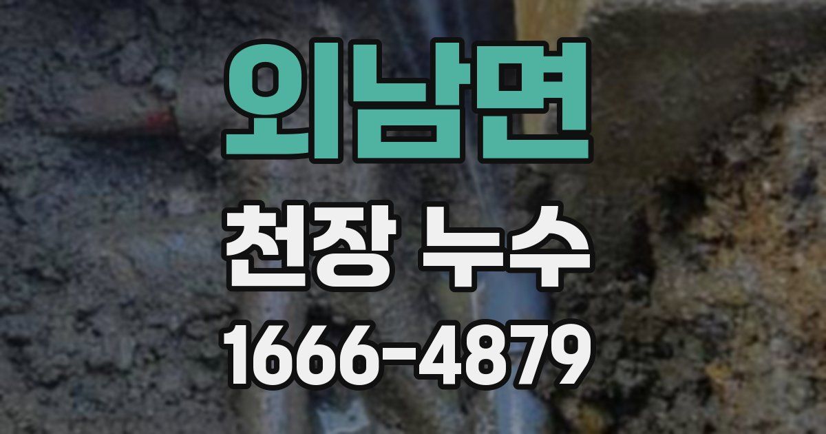외남면 천장 누수