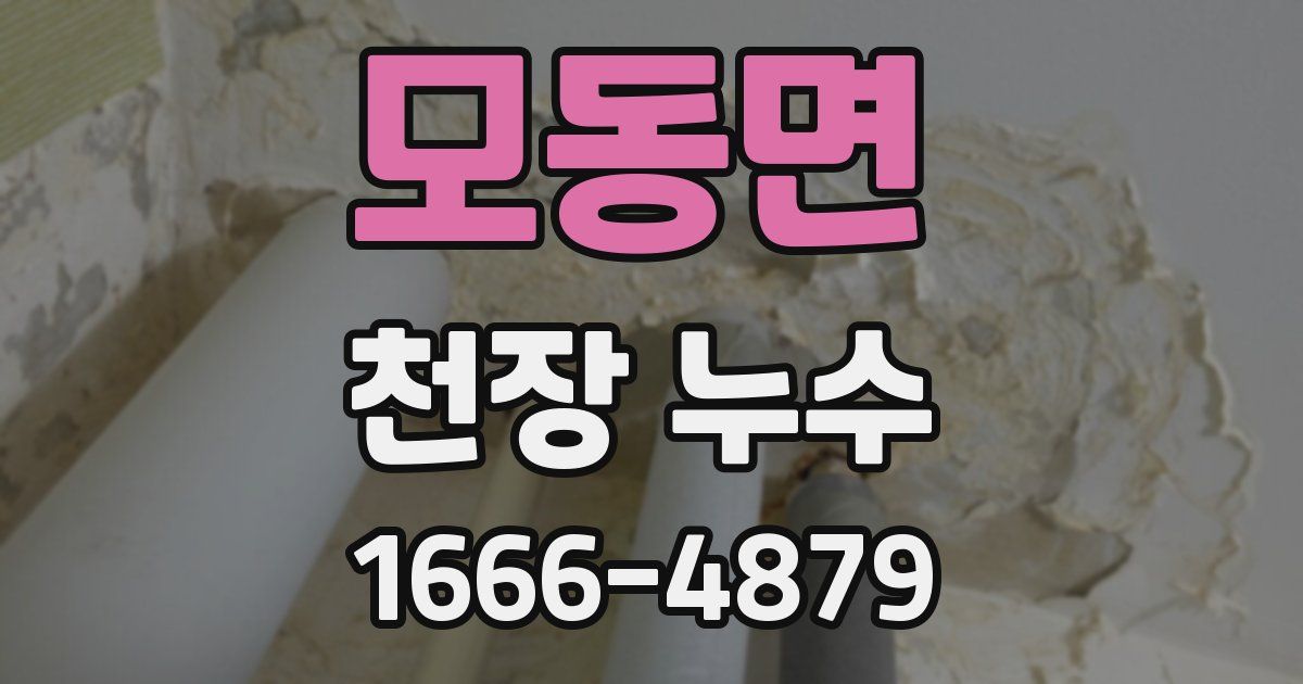 모동면 천장 누수