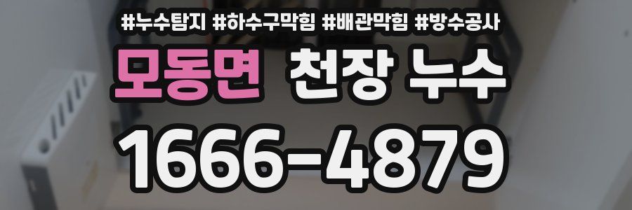 모동면 천장 누수