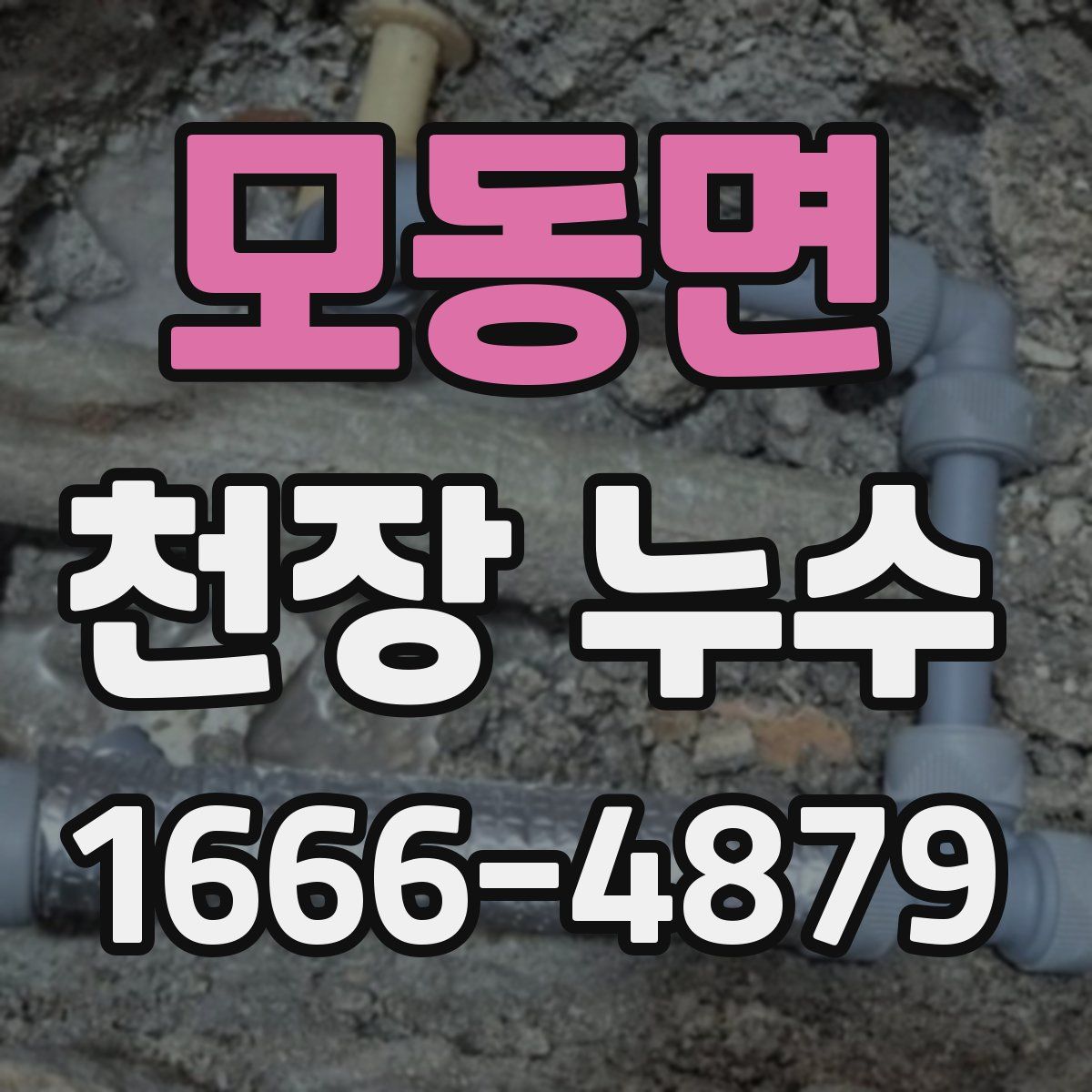 모동면 천장 누수