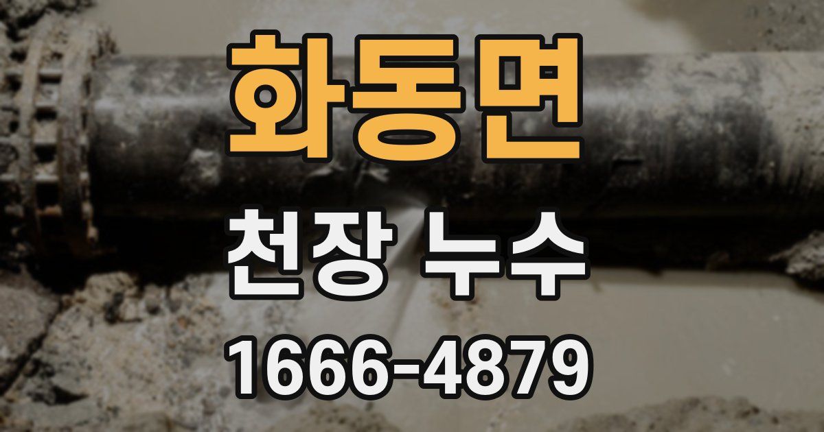 화동면 천장 누수