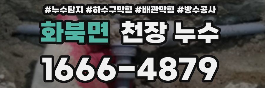 화북면 천장 누수
