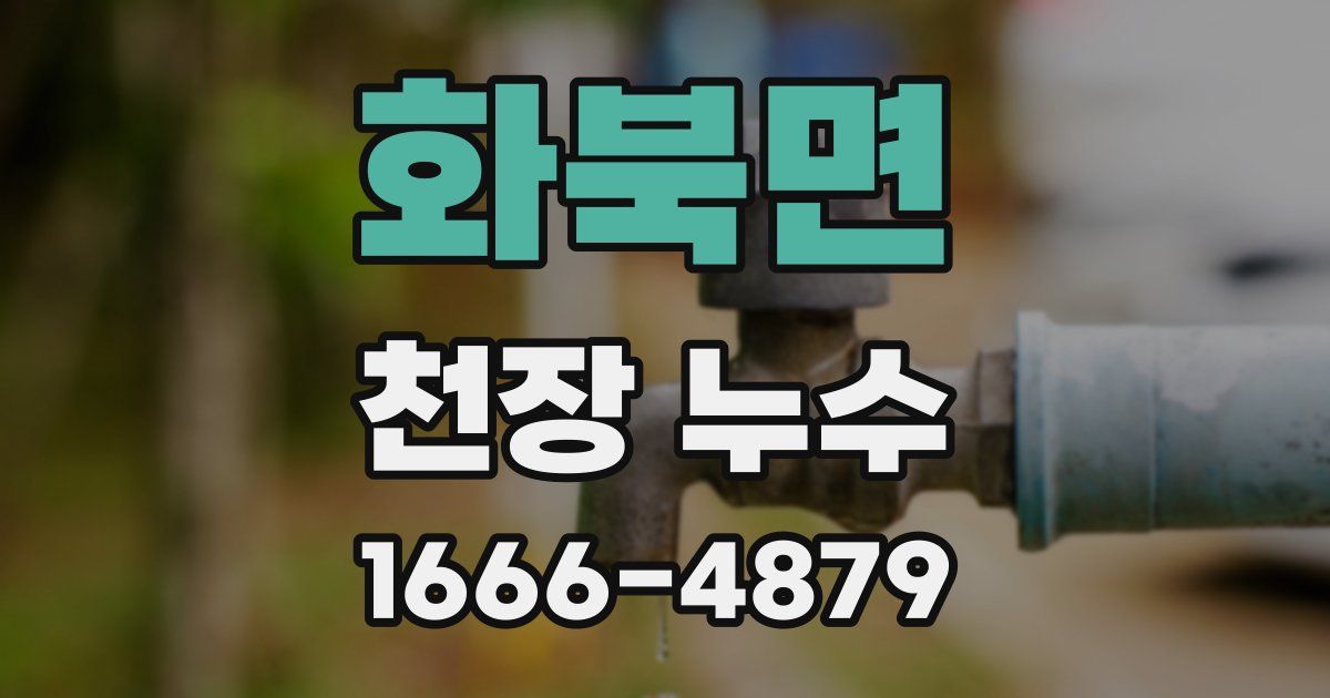 화북면 천장 누수