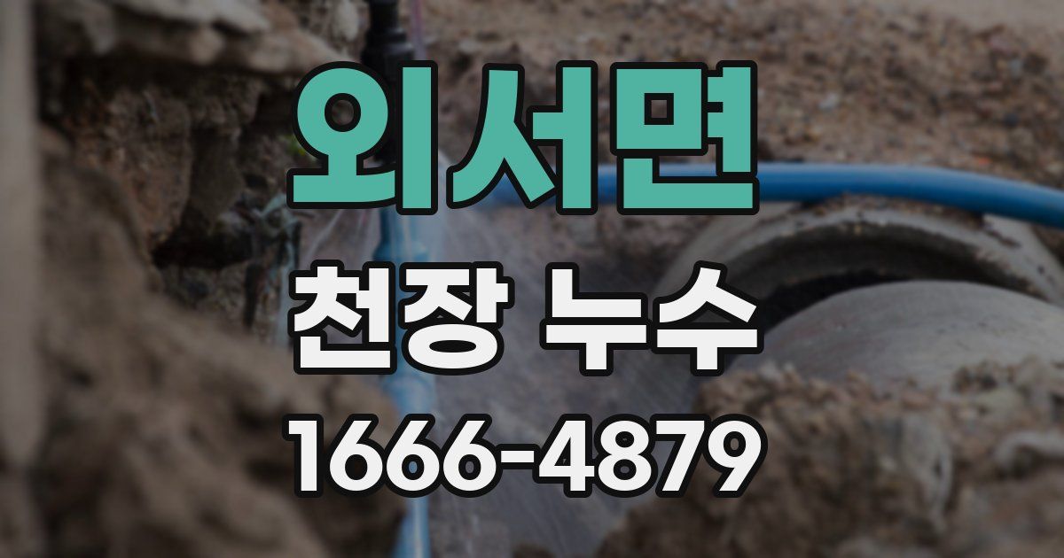 외서면 천장 누수