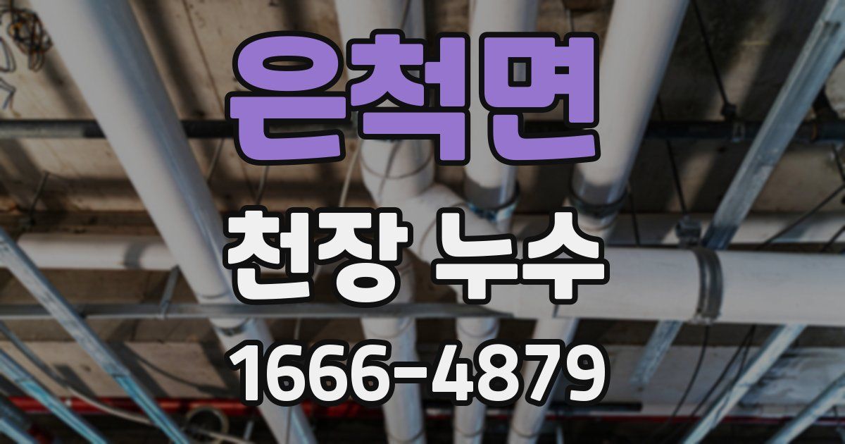 은척면 천장 누수