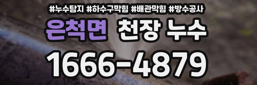 은척면 천장 누수