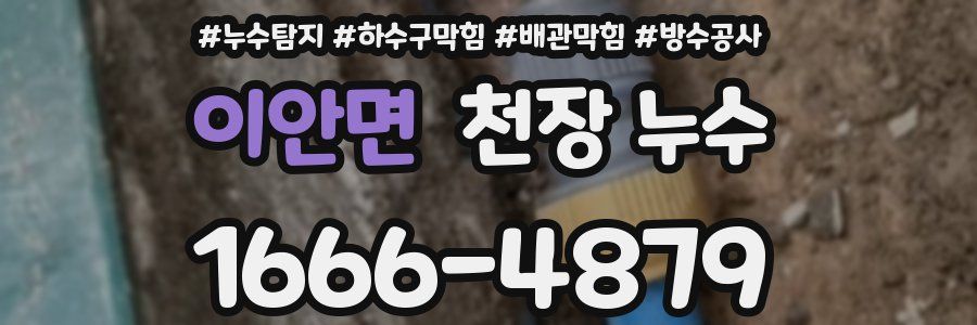 이안면 천장 누수