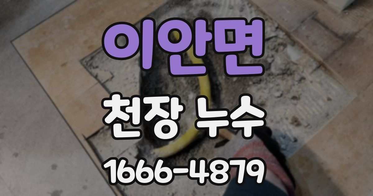 이안면 천장 누수