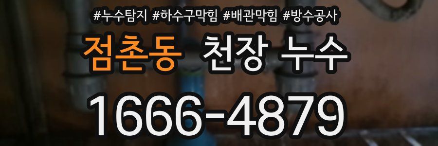 점촌동 천장 누수
